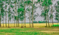 রাউতারাপুর
