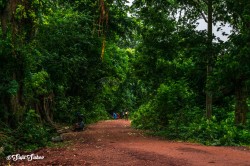 গ্রামের পথে অমিলাসাই